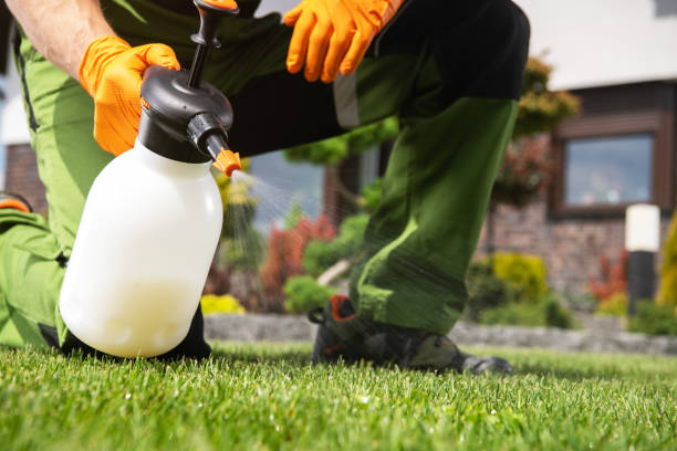 Best Pest Inspection Near Me  in Abernathy, TX