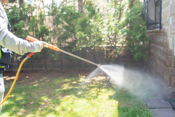 Best Pest Control Near Me in Abernathy, TX